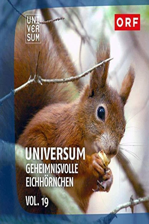 Geheimnisvolle Eichhörnchen (2018) movie poster
