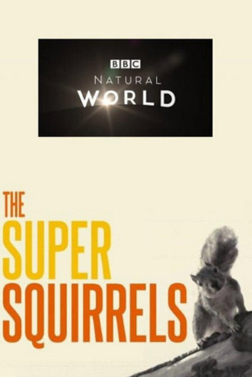 The Super Squirrels (2018) movie poster