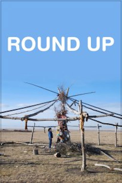 Round Up (2010) movie poster