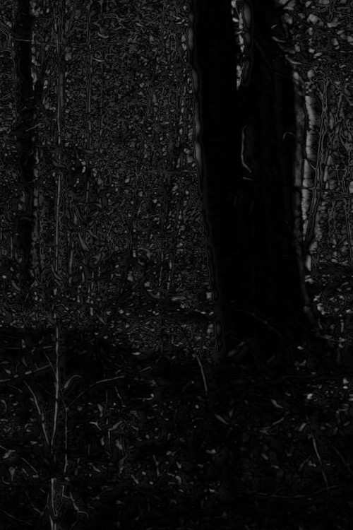 Phosphenes II (2024) movie poster