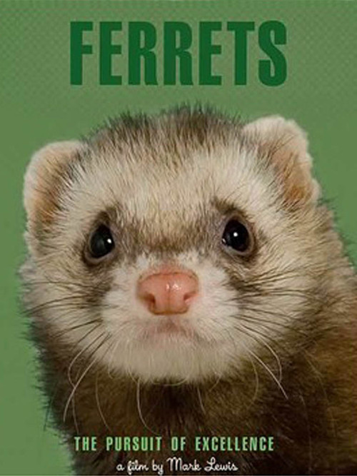 Ferrets (2007) movie poster
