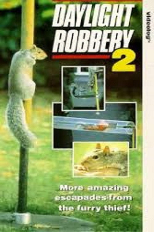 Daylight Robbery 2 (1991) movie poster