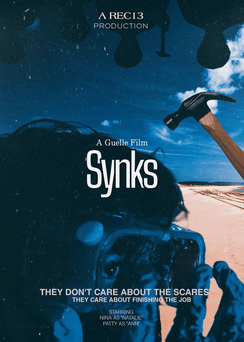 Synks (2024) movie poster