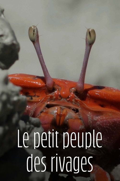 Le Petit Peuple des rivages (2024) TV show poster