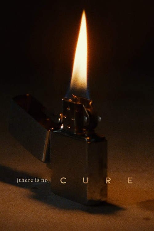(There Is No) Cure (2022) movie poster