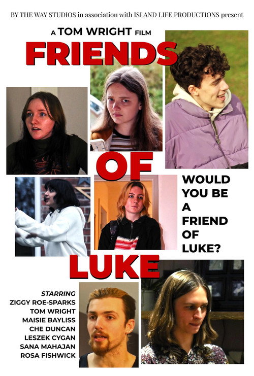 Friends of Luke (2022) movie poster
