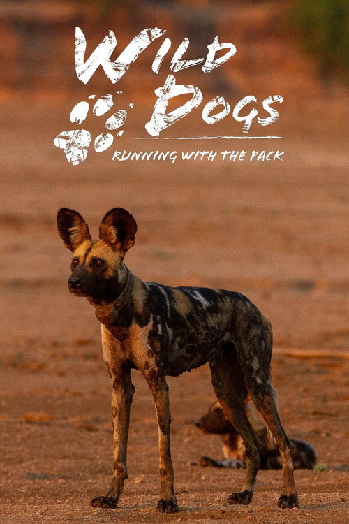 Wild Dogs: Running with the Pack (2022) TV show poster