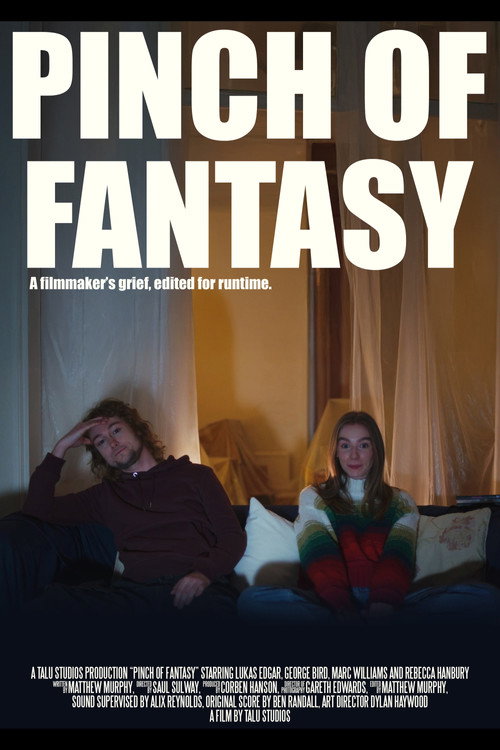 Pinch of Fantasy (2025) movie poster