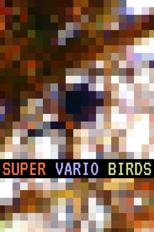 Super Vario Birds (2019) movie poster