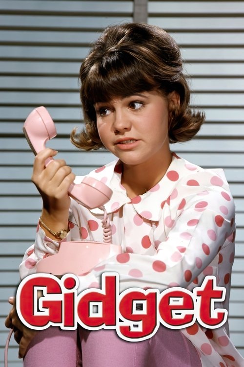 Gidget (1965) TV show poster