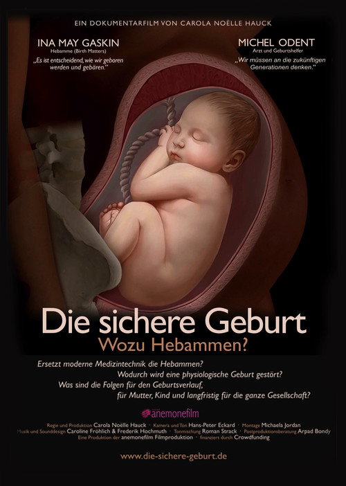 Die sichere Geburt (2017) movie poster