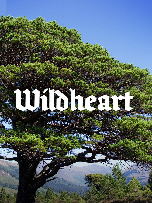 Wildheart (2023) movie poster