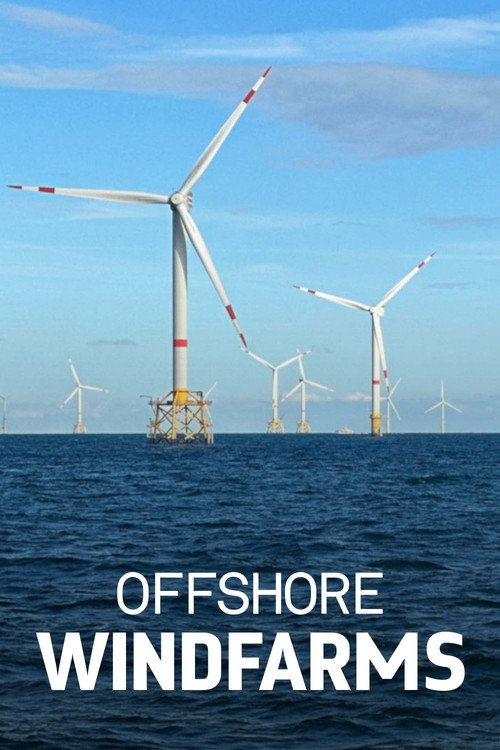 Windparks im Meer - Chance oder Risiko für die Natur? (2024) movie poster