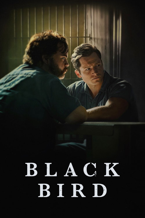 Black Bird (2022) TV show poster