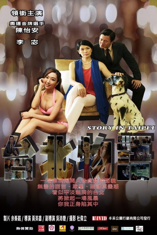Story of Taipei (2017) movie poster