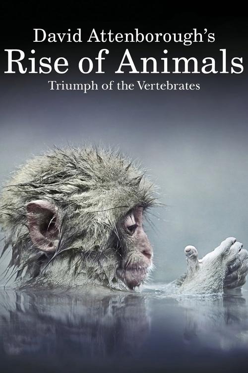 David Attenborough's Rise of Animals: Triumph of the Vertebrates (2013) TV show poster