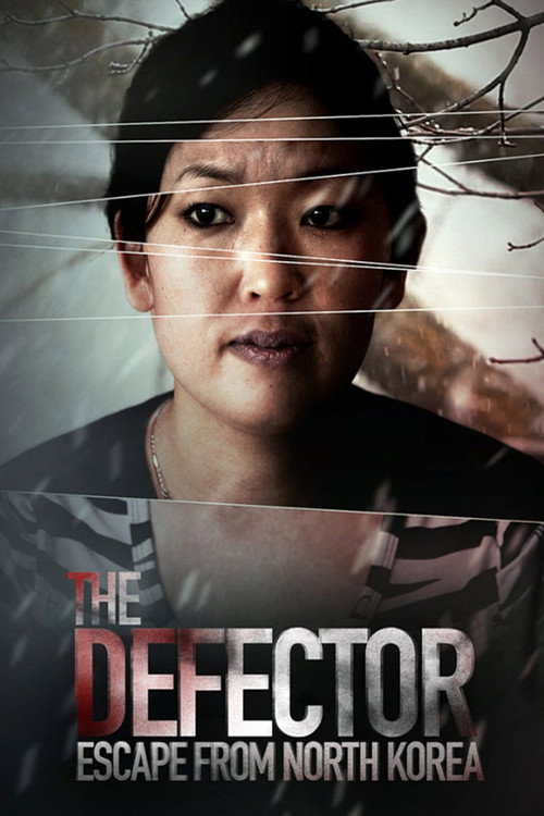 The Defector: Escape from North Korea (2012) movie poster
