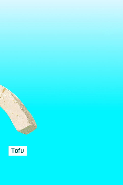 Tofu (2015) TV show poster