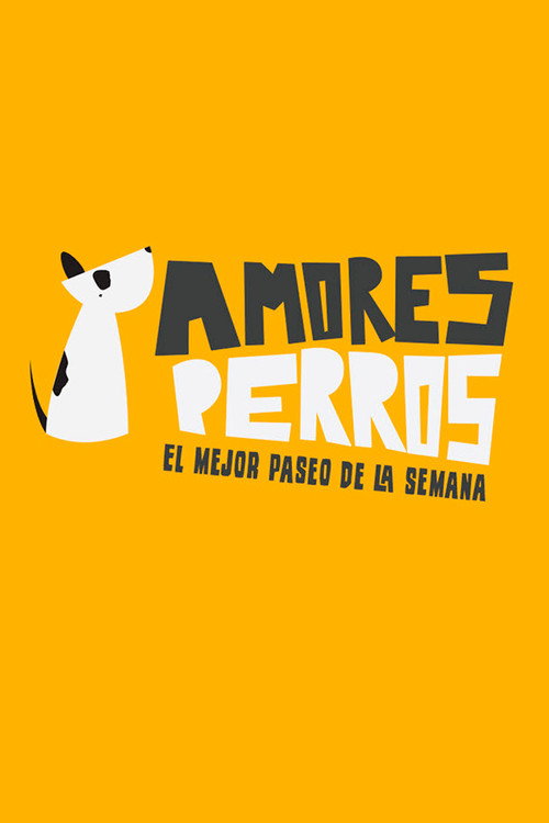 Amores perros (2016) TV show poster