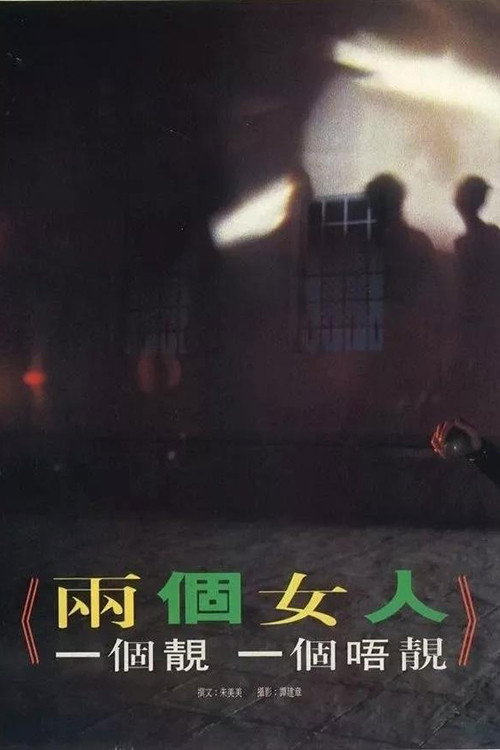 那兩個女人 (1992) TV show poster