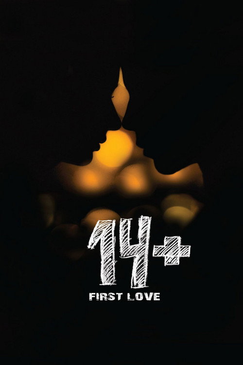 14+ (2015) movie poster