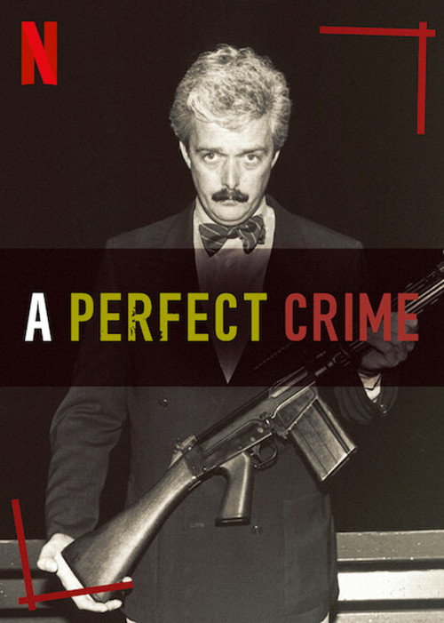 A Perfect Crime (2020) TV show poster