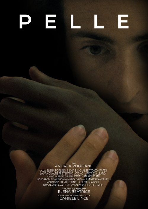 Skin (2011) movie poster