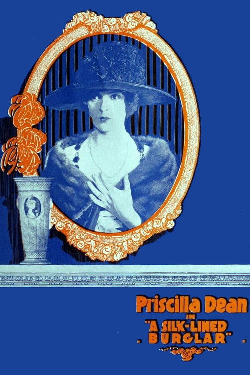 The Silk Lined Burglar (1919) movie poster