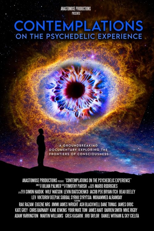 Contemplations: On the Psychedelic Experience (2022) movie poster