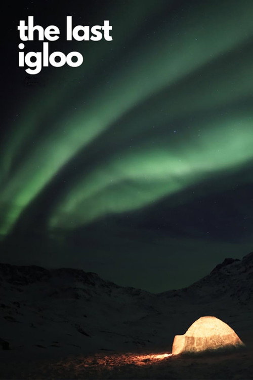 The Last Igloo (2019) movie poster