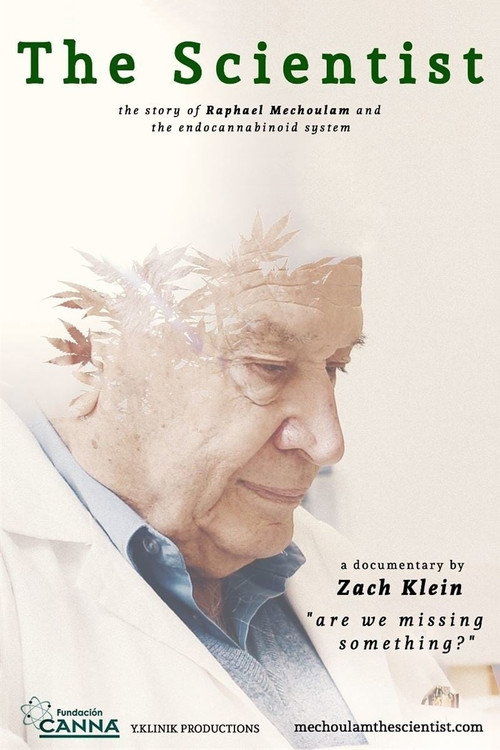 The Scientist: Are We Missing Something? (2015) movie poster