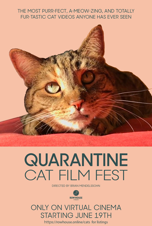 Quarantine Cat Film Festival (2020) movie poster