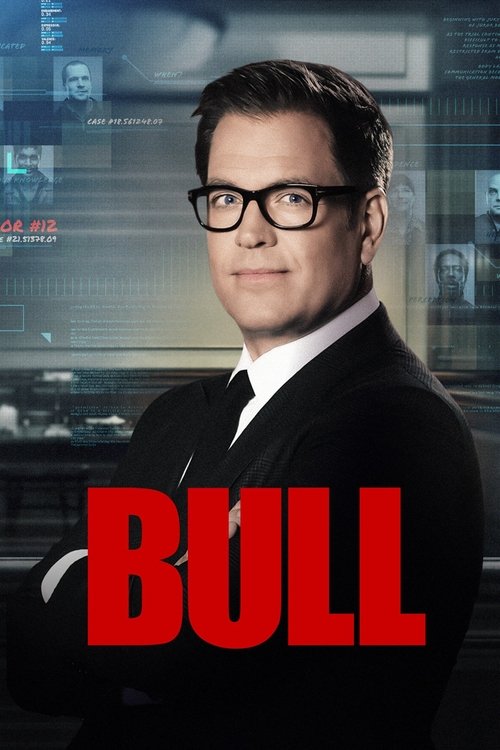 Bull (2016) TV show poster