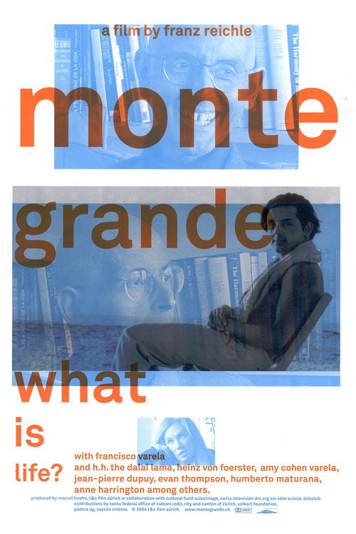 Monte Grande: What is Life? (2005) movie poster