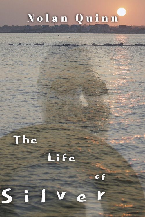 The Life of Silver (2025) movie poster
