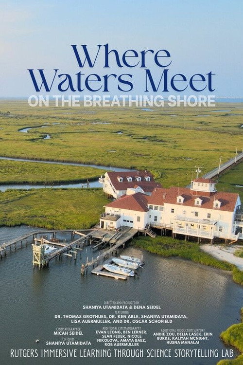 Where the Waters Meet on the Breathing Shore (2026) movie poster