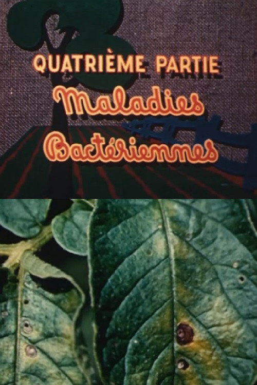 The Enemies of the Potato: Bacterial Diseases (1949) movie poster
