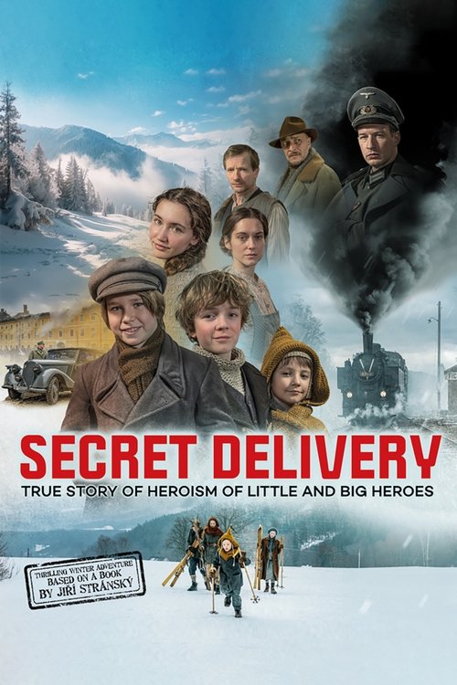 Secret Delivery (2025) movie poster