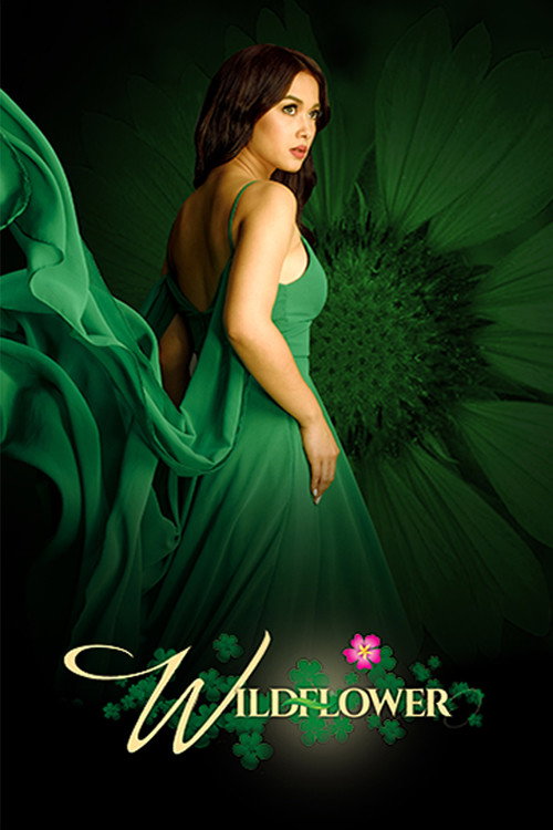 Wildflower (2017) TV show poster