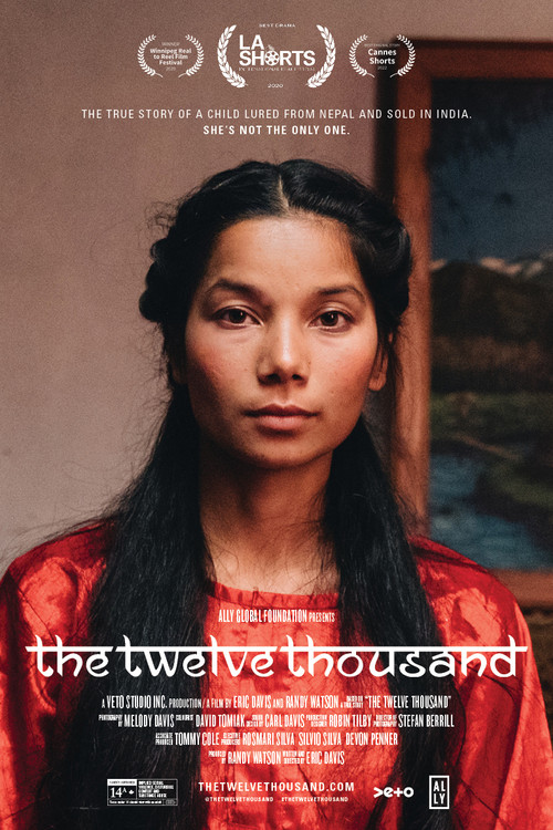 The Twelve Thousand (2020) movie poster