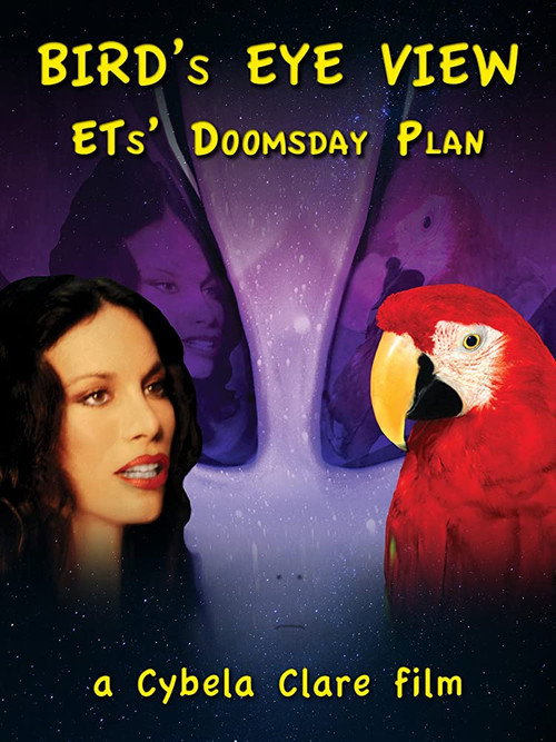 Bird's Eye View (2020) movie poster