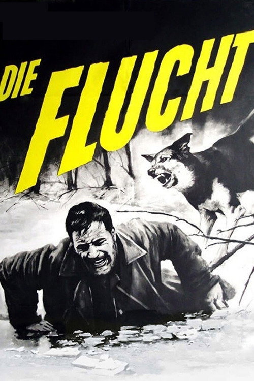 Man and Beast (1963) movie poster