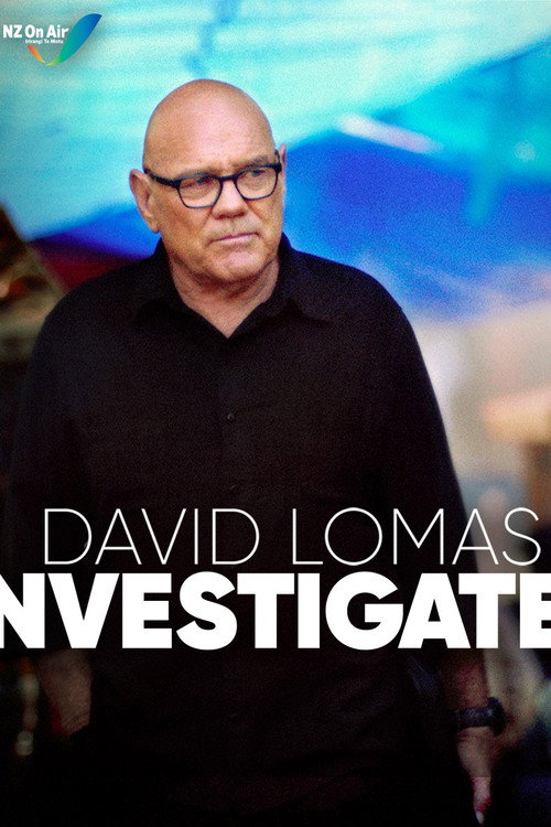 David Lomas Investigates (2020) TV show poster