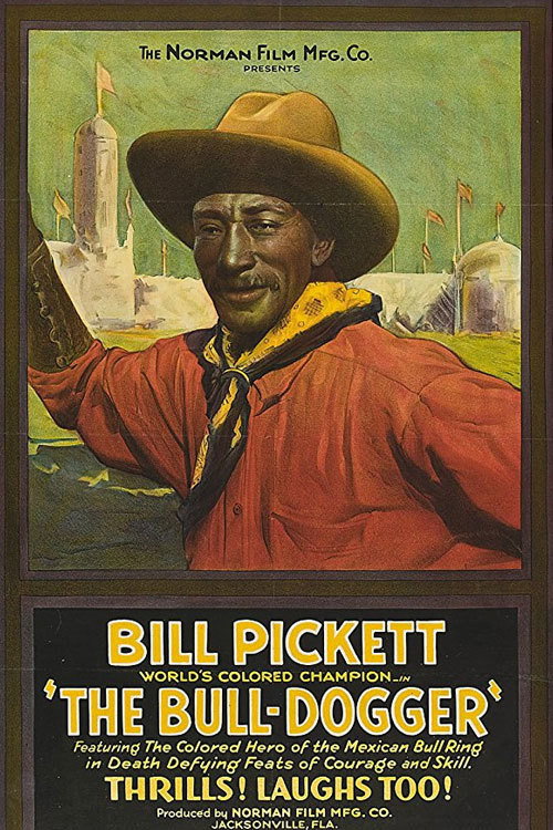 The Bull-Dogger (1921) movie poster
