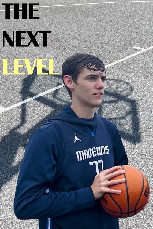 The Next Level (2024) movie poster