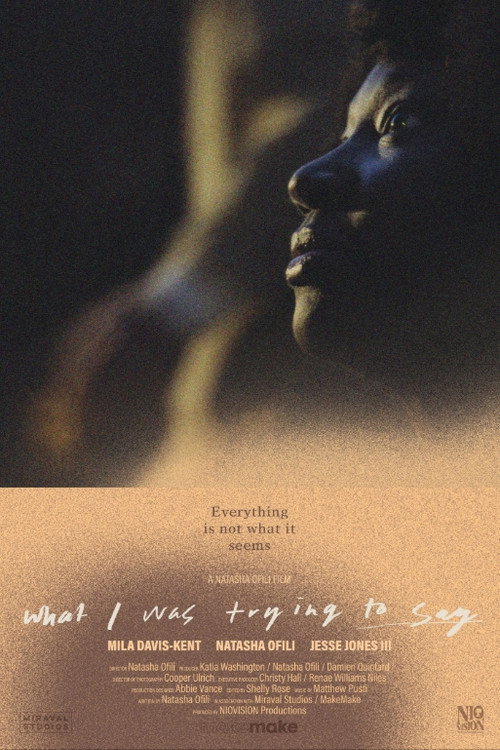 What I Was Trying to Say movie poster