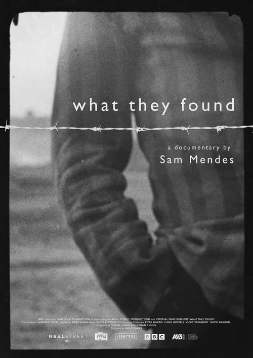 What They Found (2025) movie poster