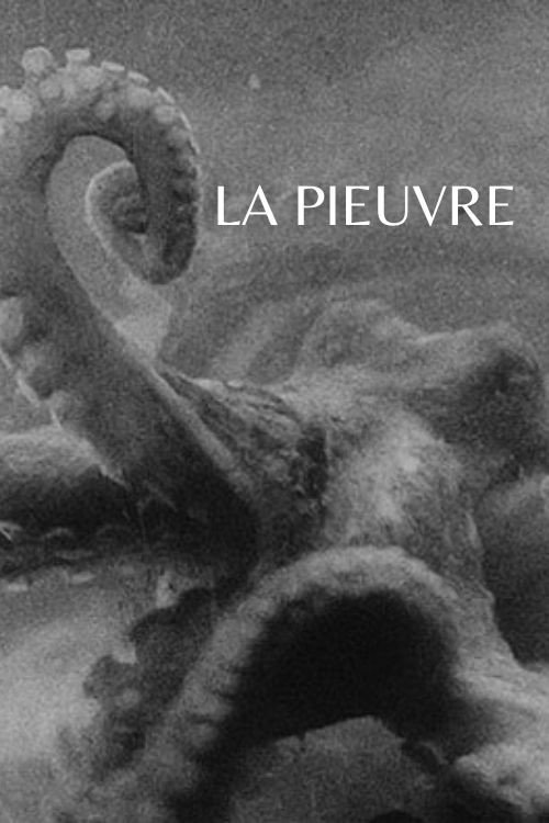 The Octopus (1928) movie poster