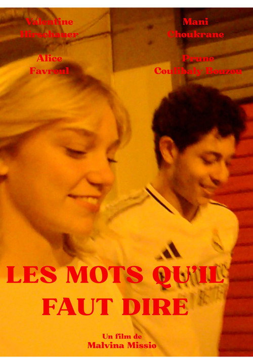 Les mots qu'il faut dire (2025) movie poster