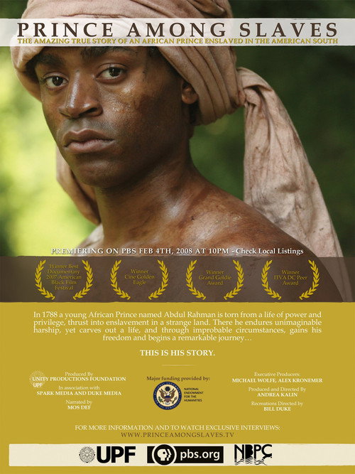 Prince Among Slaves (2008) movie poster